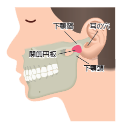 顎関節症 あごがカクカクしませんか ヒポ通信 江頭歯科医院